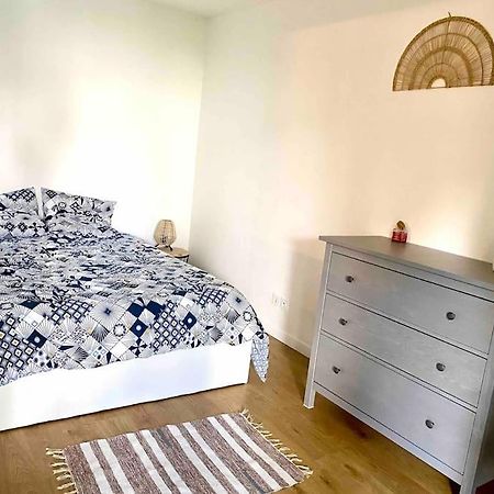 Mon Cocoon Toulousain Cosy Appartement Idealement Situe トゥールーズ エクステリア 写真